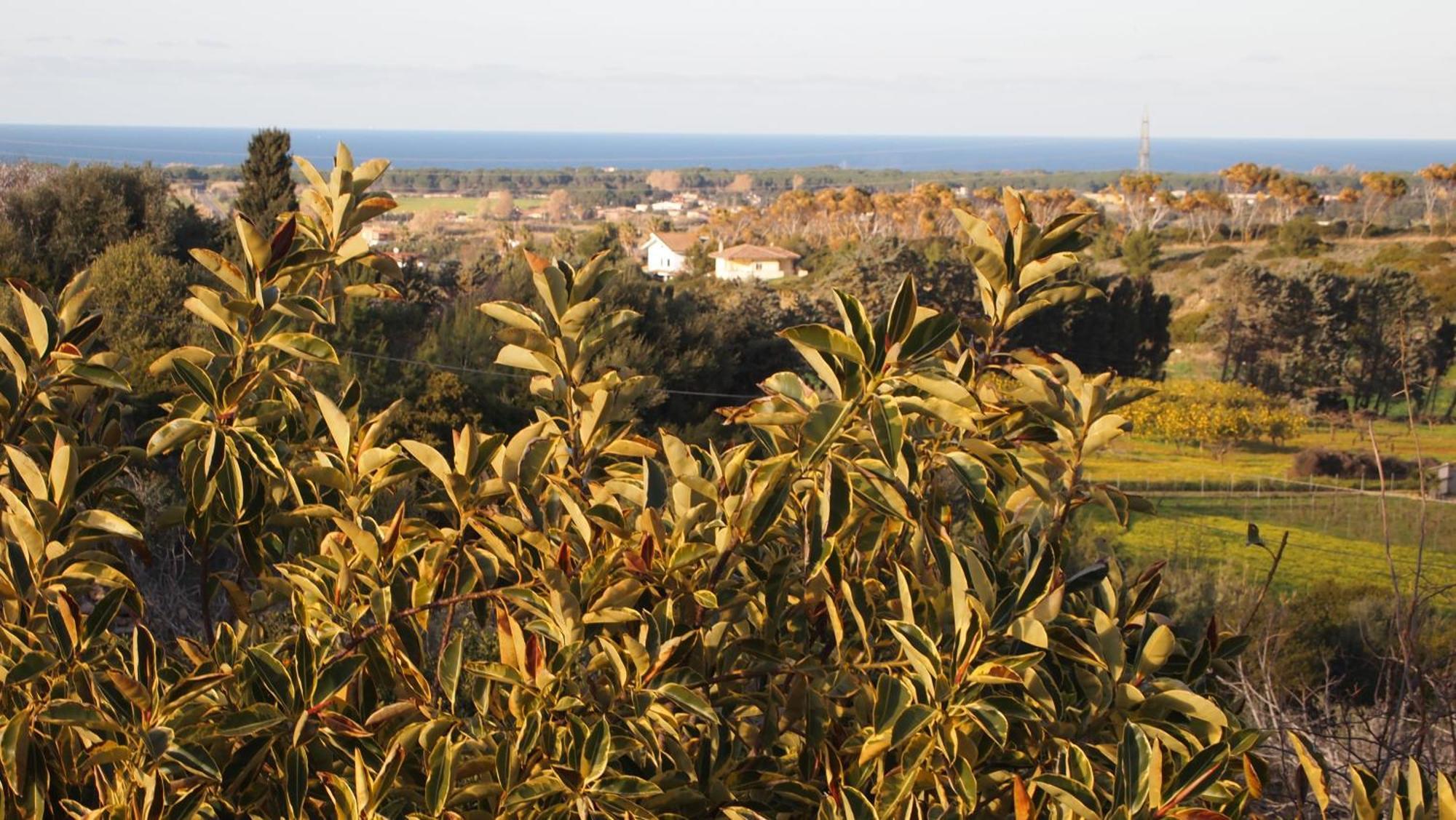Holiday home Asinara Sassari